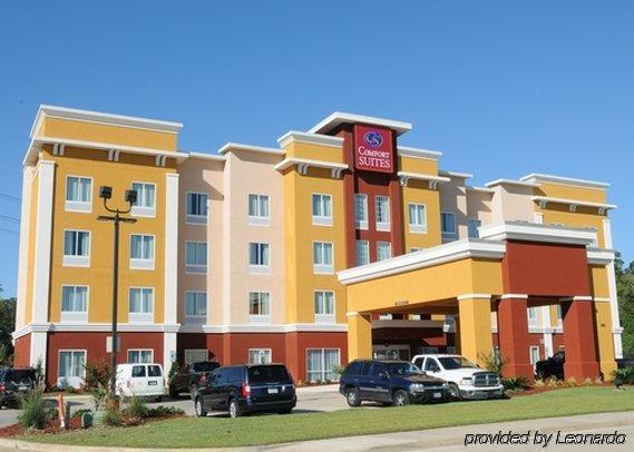 Comfort Suites Near Tanger Outlet Mall Гонзалес Экстерьер фото